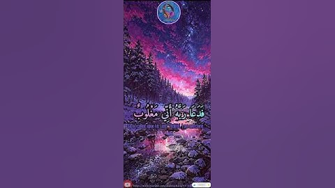 #قرآن #روائع_التلاوات #تلاوة_تصعد_بك_لعنان_السماء #تلاوة_مؤثرة #تلاوة_خاشعة #تلاوة_هادئة #لايك