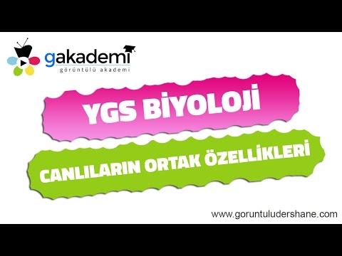 YGS Biyoloji Canlıların Ortak Özellikleri