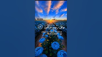 الذين صبرو و على ربهم يتوكلون /تلاوة هادئة /#قرآن