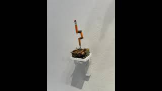 IMG 9144