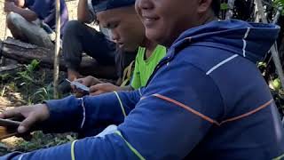 Menugal Di Kg Tinaum Ranau