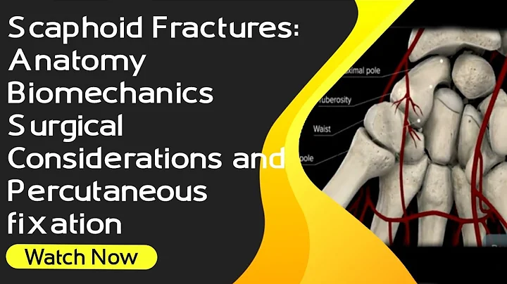 Scaphoid Fractures: Anatomy, Biomechanics, Surgical Considerations and Percutaneous fixation