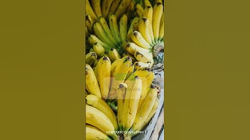 Nên ăn chuối khi nào? | Lương y Triệu Thị Thanh