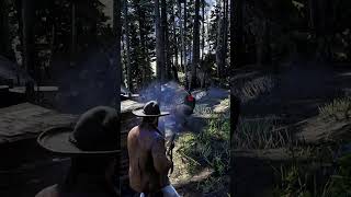 Secret Treasure Maps Leading to a Rare Gun in RDR2