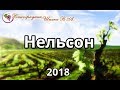 Нельсон урожая 2018 года