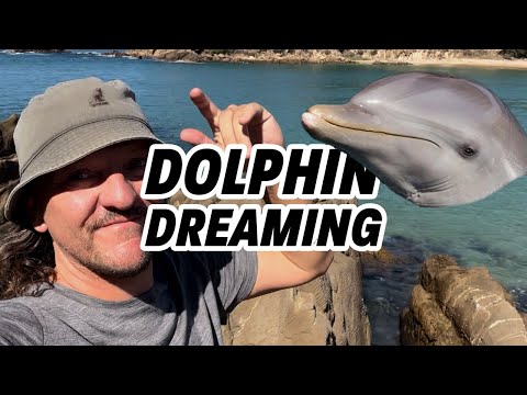 Dolphin Dreaming