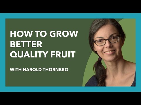 How to make fruit trees produce better fruit with Harold Thornbro #orchardpeople #fruittreecare