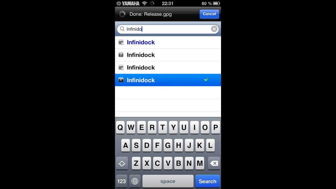 как ставить Infinidock