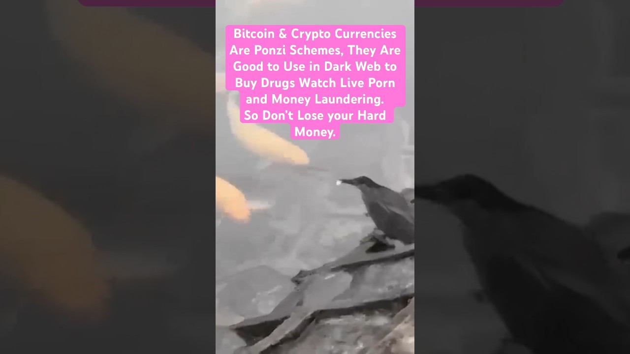Bitcoin & Crypto Currencies Are Ponzi Schemes, So Don’t Lose your Hard Money.