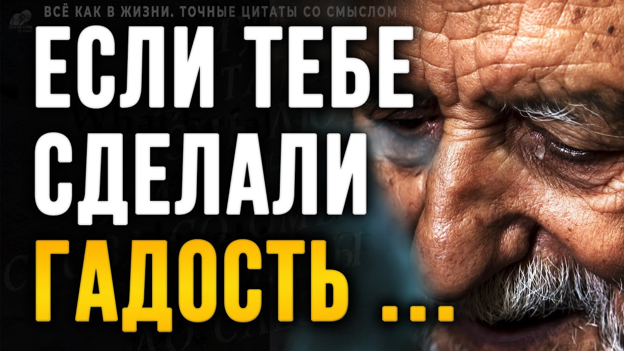 Каждая Цитата будто Взята из Моей Жизни, До Слёз! Точные жизненные Цитаты со Смыслом