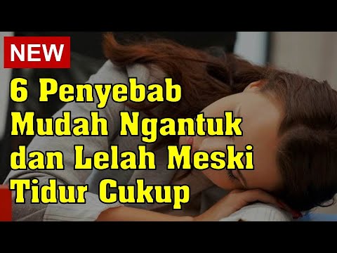 Video: Mengapa saya berasa sangat mengantuk?