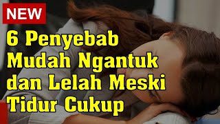 6 Penyebab Mudah Ngantuk Dan Lelah Meski Tidur Cukup