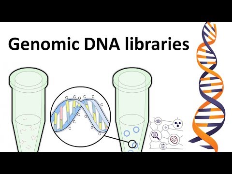 Video: Ano ang genomic DNA library?