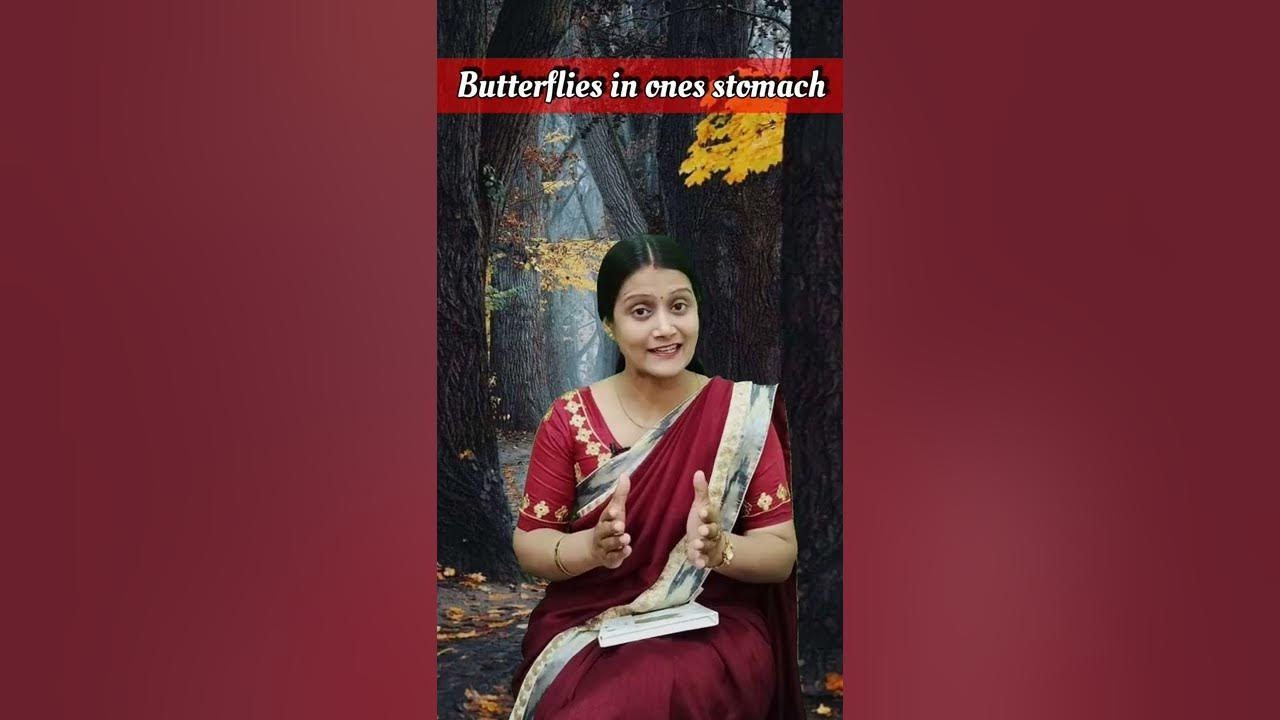 Butterflies In The Stomach Idiom Meaning In English Butterflies In The Stomach Idiom Meaning In English