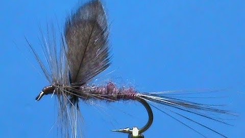 Fly Tying for Beginners an Isonychia Dun with Jim Misiura