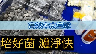 [QQQ水族] 2021培菌太空球淨化水質的秘密 