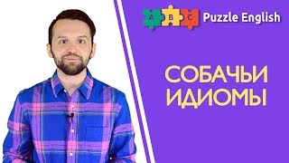 Идиомы с собаками: go to the dogs, dog-eared и др. Идиомы с собаками: go to the dogs, dog-eared и др.