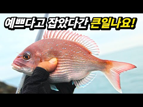 앞으로 낚시 잘못하면 큰코다쳐요! 바다낚시 하기 전에 알아야 할 필수 정보