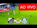 Santos x Palmeiras AO VIVO - Campeonato Brasileiro 2025