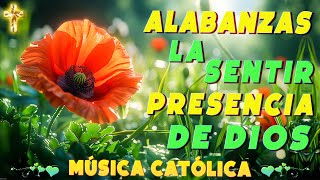 Hermosas Música Católica 2024 En Español  Alabanza Católicas Que Traen Bendiciones A Tu Casa