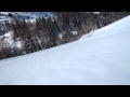 Ski-chien 89, à Ferret (2)