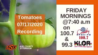 Growing Tomatoes in Kay County Oklahoma - 07/17/2020 Radio Show Recording 100.7 KPNC