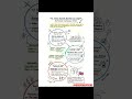 Battles of Panipat #indianhistory #upsc #ias #ssc #sscgk #gkgs #gk #shorts #india #viral #cgl #chsl