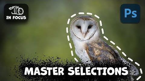 A Beginners Guide |  Master Photoshop Selections In 10 Easy Lessons