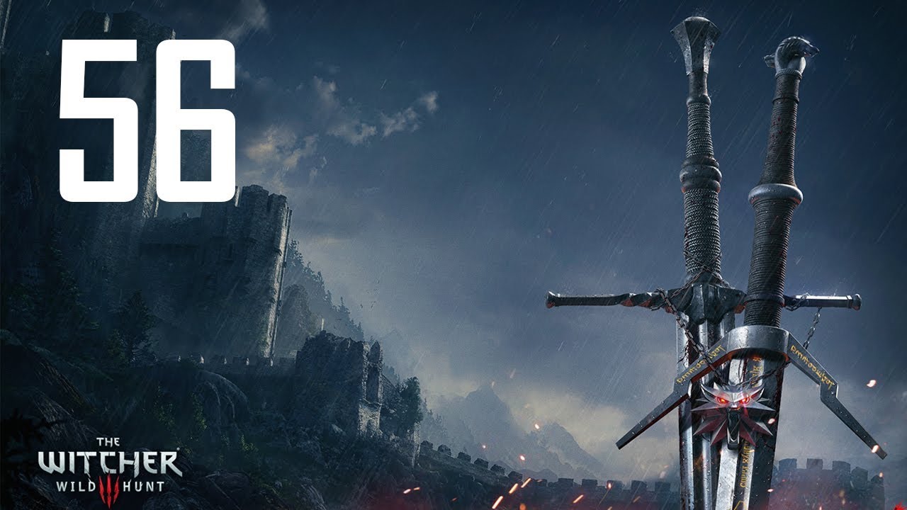 the witcher 3 brothers in arms the witcher 3 brothers in arms