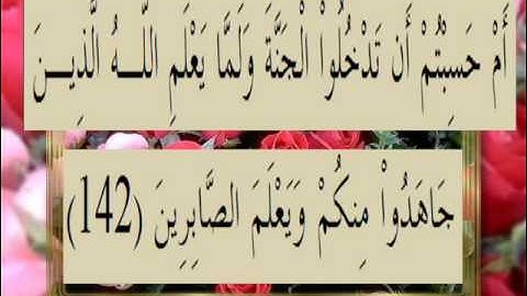 القران الكريم سورة آل عمران الأية 142