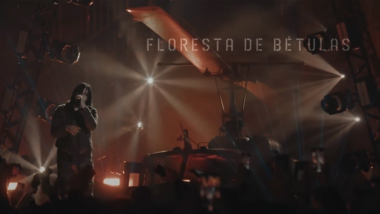 19 Guilherme de Sá - Floresta De Bétulas (Vídeo Oficial)