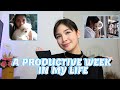 A PRODUCTIVE WEEK IN MY LIFE: As a Furmom, Student & Artist! | Heaven Peralejo