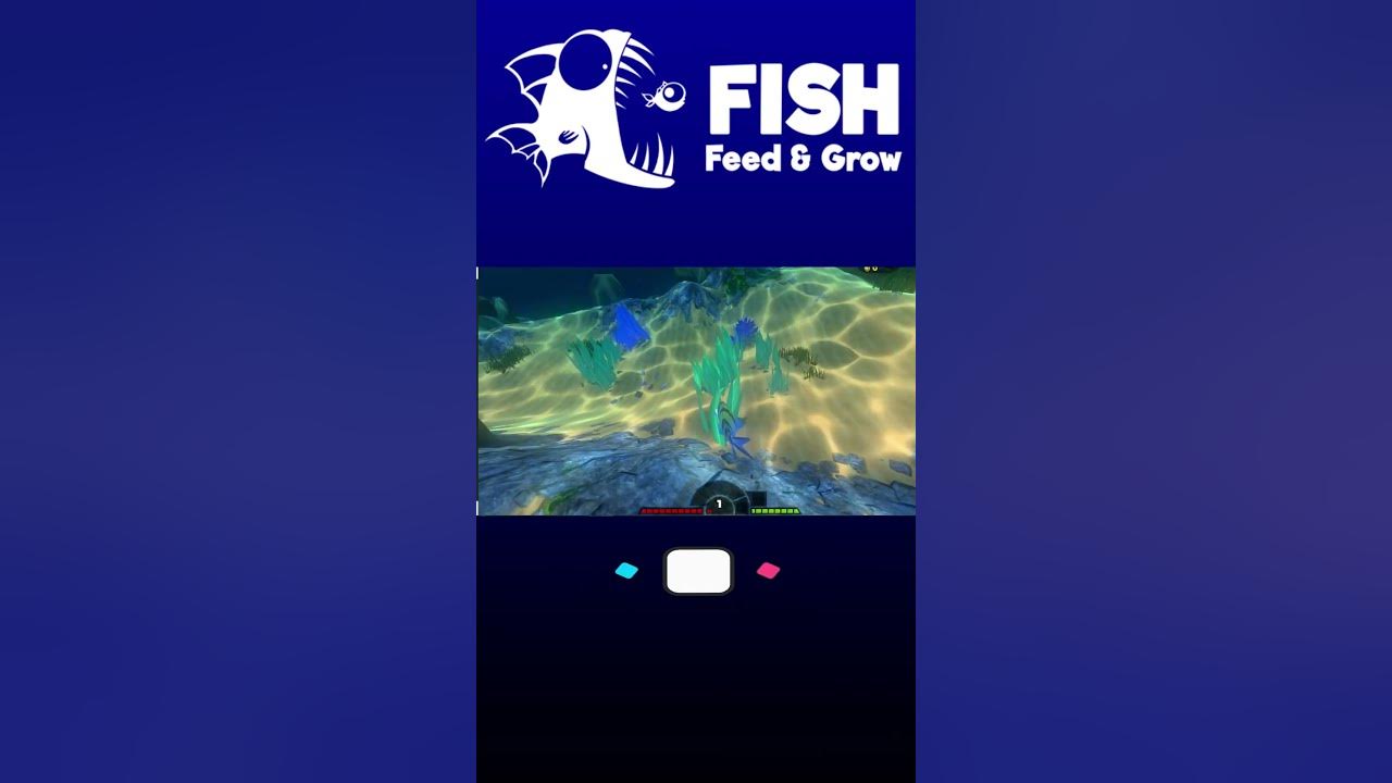 fish-feed-and-grow-part-9-youtube