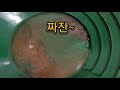 재밌고 쉽게 사금 채취 하기
