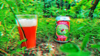 Beer Solo #15 : САМОЕ ЛЕТНЕЕ ПИВО : ЭТО ЛУЧШЕЕ КИСЛОЕ ПИВО, ЧТО ТЫ ПИЛ! ТОП ПИВО