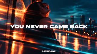 You Never Came Back - Astridane