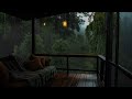 Calm Rain on Wooden Porch | Relaxing Jungle Cabin Ambience
