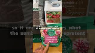 Early june is when tomato plants start getting hungry - Do you know how to feed them? |Darrell Smith