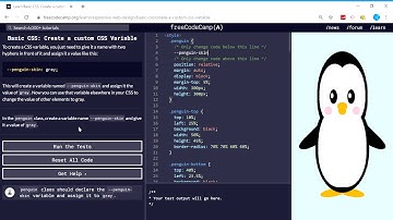 Basic CSS (38/44) | Create a custom CSS Variable | freeCodeCamp