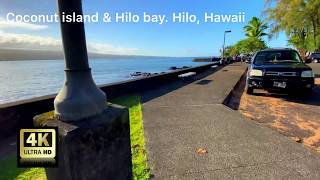 Hawaii walk - Big island of Hawaii - Hilo - [4K 60fps]