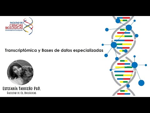 Vídeo: La Desconvolución De Transcriptomas Y MiRNomes Mediante Análisis De Componentes Independientes Proporciona Información Sobre Los Procesos Biológicos Y Los Resultados Clínicos De Lo