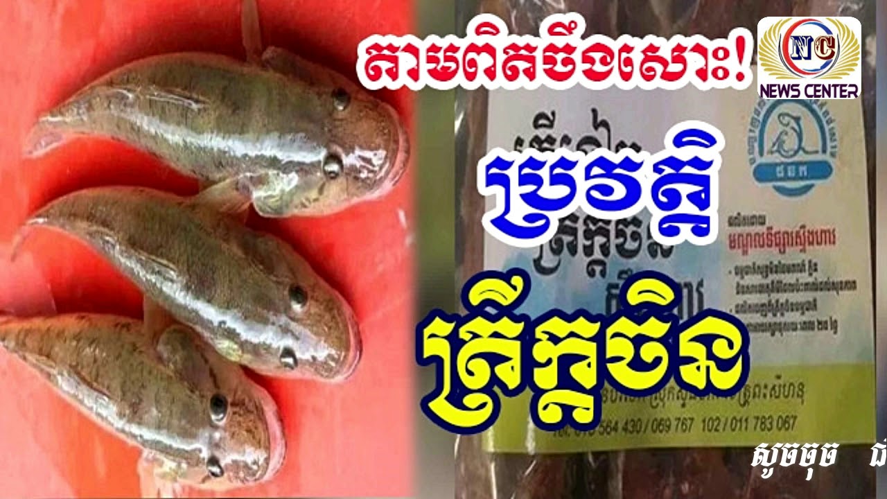 តាមពិតចឹងសោះ! ដឹងប្រវត្តិឈ្មោះ ត្រីក្តចិន ហើយ | News Center - YouTube