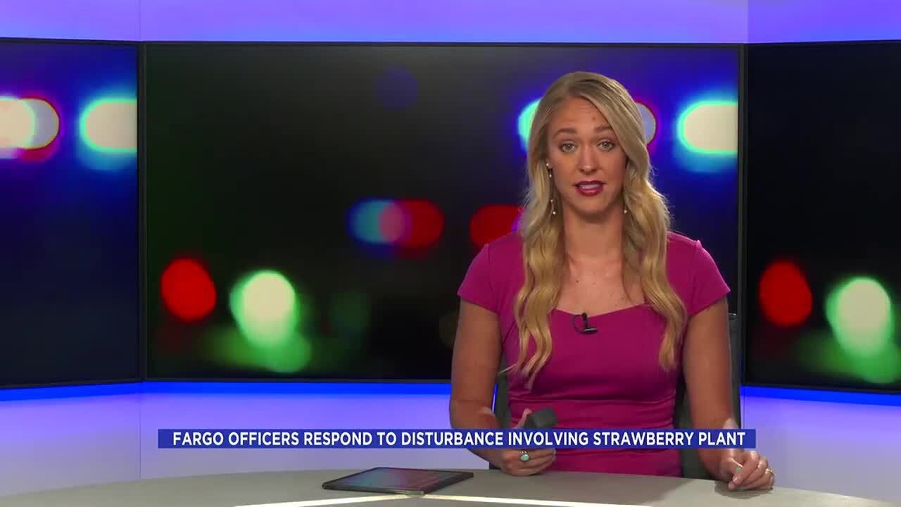 Fight over strawberry plant in Fargo neighborhood