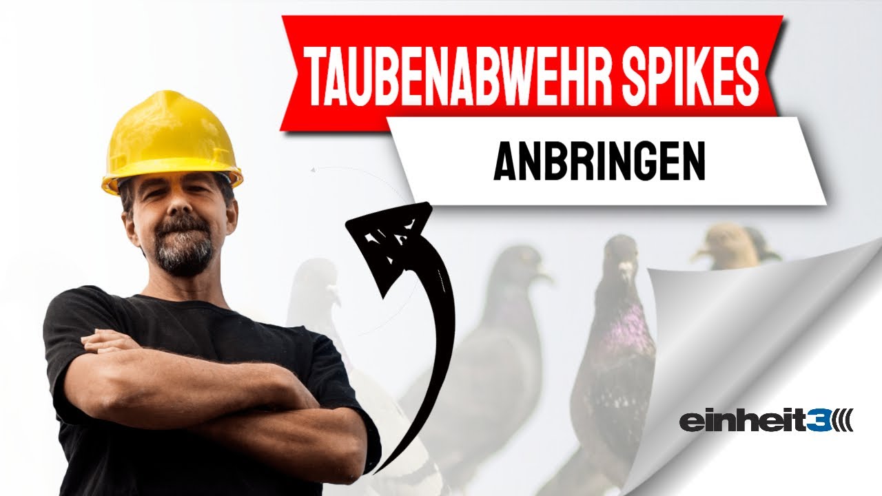 Taubenabwehr Spikes anbringen - Anbringen von Taubenabwehr durch die einheit3 GmbH Taubenabwehr