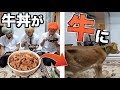 食べてた牛丼が牛に変わってるドッキリ