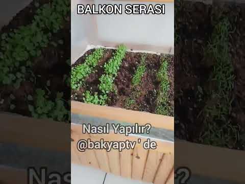 Balkon Serası #shorts