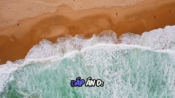 Câu 2: Chương trình nào của Windows để quản lý các tập tin và thư mục?