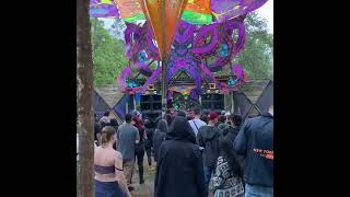Psyforest 🎶