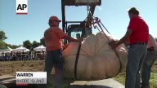 Weighty Topic: How to Grow a Giant Pumpkin