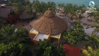 BB Development Phase Five